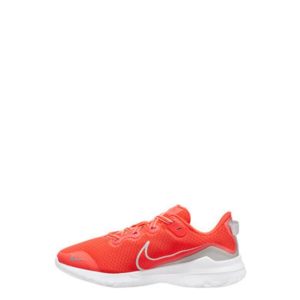کفش پیاده روی اورجینال برند Nike مدل Renew Ride کد 107283859