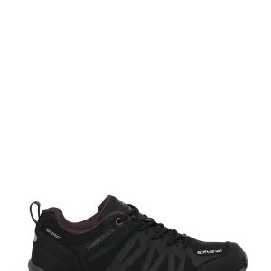 1 org zoom 178849