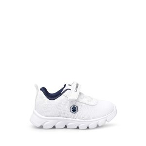 1 org zoom 185925