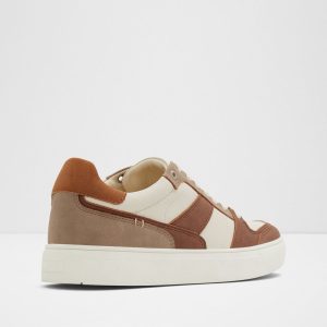 کتونی اورجینال برند Aldo مدل RETROSPEC – Kahve Erkek Sneaker کد 763465607