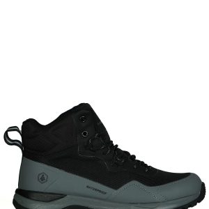 1 org zoom 178710