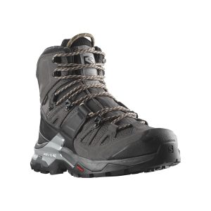 کفش کوهنوردی اورجینال برند Salomon مدل Quest 4 Gore-tex کد 773870324