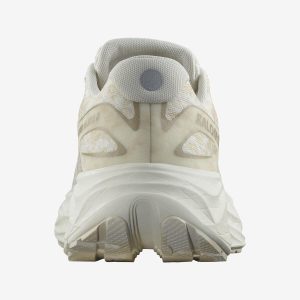 کفش دویدن اورجینال برند Salomon مدل AERO GLIDE 2 W کد 806576102