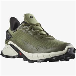 کفش دویدن اورجینال برند Salomon مدل Alphacross 4 Gtx کد 354056141