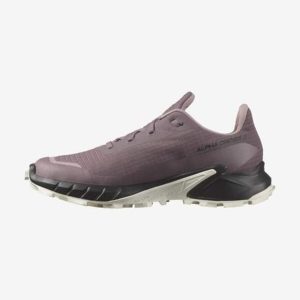 کفش دویدن اورجینال برند Salomon مدل Alphacross 5 Gore-Tex کد 757341081
