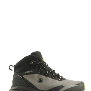 1 org zoom 8310