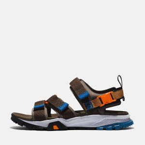 صندل اورجینال برند Timberland مدل Backstrap Sandal TB0A5TAT کد 841132849