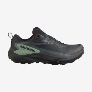 کفش دویدن اورجینال برند Salomon مدل Genesis GTX کد 846950583 7 1 org zoom 31941